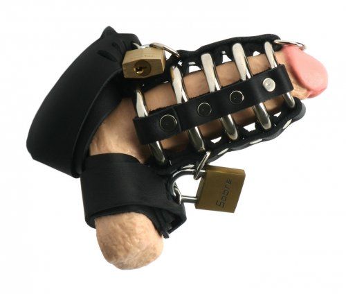 Strict Leather - Gates of Hell Chastity Device photo
