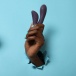 Je Joue - Hera 兔子震动棒 - 紫色 照片-4