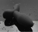 UTOO - 天鵝絨震動器肛門插頭1 照片-3