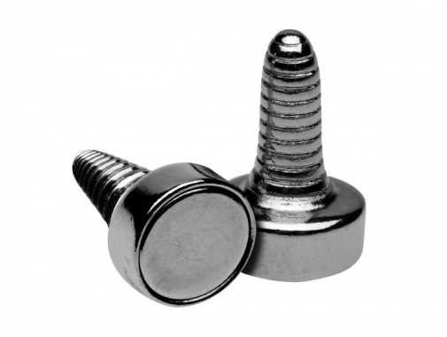 Master Series - Twisted Magnetic Nipple Clamps - Silver photo