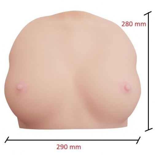 KMP - 3D掃瞄 - 友田彩也香的乳房 照片