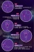 Erocome - 小熊座 - 无线遥控震蛋 - 紫色 照片-28