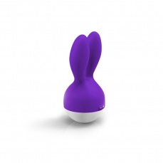 FT - Rabbit Vibrator - Purple photo