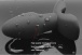 UTOO - 天鹅绒震动器肛门插头1 照片-4