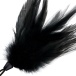 Darkness - Feather 17cm - Black photo-2