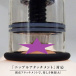 SSI -Nipple Dome R Jack Type 乳头刺激器 - 黑色 照片-4