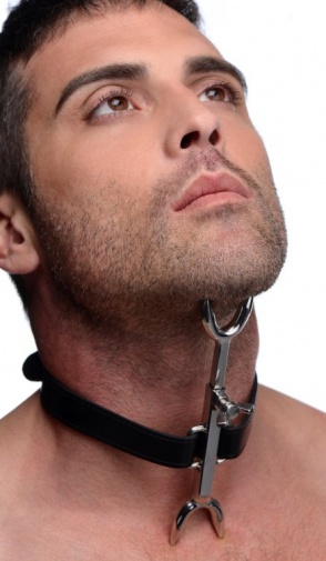 Strict Leather - Heretics Fork photo