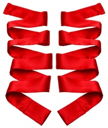 GreyGasms - 红色缎带套装 - 红色 照片