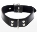 Taboom - Elegant D-Ring Collar - Black photo-3