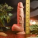 Evolved - 8" Realistic Dong w Balls - Light photo-7