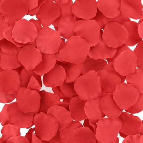LoversPremium - 玫瑰之床 - 红色 照片