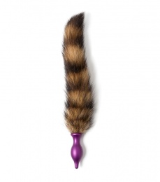XFBDSM - 鋁合金尾肛門插頭S - 紫色 照片