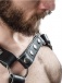 Mister B - Leather X-Back Harness - Black - S/M photo-3