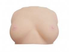 KMP - 3D Scanned Rika Hoshimi's Tits photo