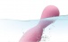 SVAKOM - Nymph 刺激器 - 粉紅色 照片-7