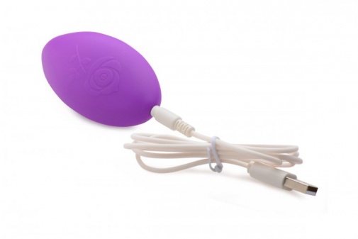 Frisky - Naughty Knickers Vibrating Panty w/ Remote Control - Purple photo