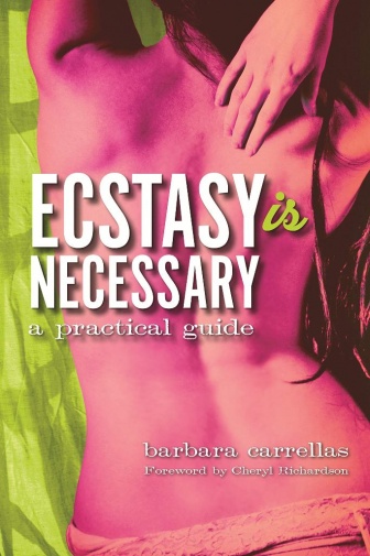 Ecstasy is Necessary: A Practical Guide photo