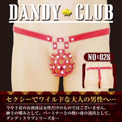 A-One - Dandy Club 28 男士内裤 照片