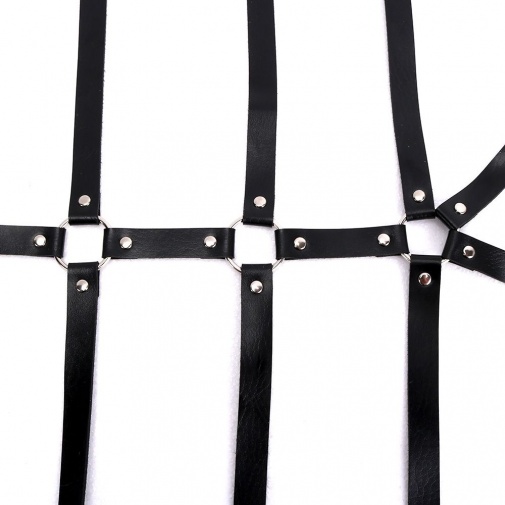 MT - Leather Body Harness 1 photo