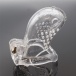 FAAK - Long Bird Chastity Cage - Clear photo-4