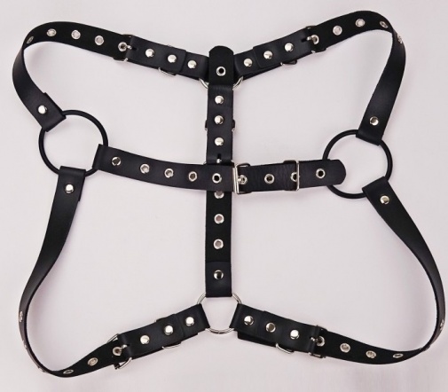 SSI - Nipple Dome Harness - Black photo