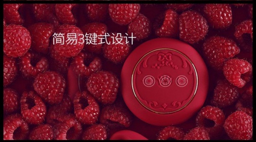Zalo - Fanfan情侶套裝振動器 - 紅色 照片
