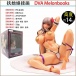 Anime Star - Melonbooks Futanari Hermaphrodite Sexy Figure photo-8