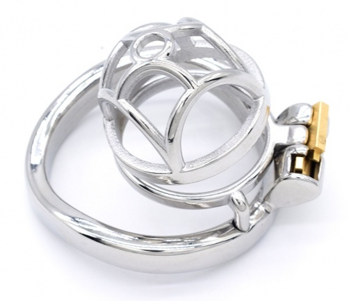 FAAK - Chastity Cage 07 w Curved Ring 45mm - Silver photo