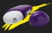Romp - Free 阴蒂吸吮器 - 紫色 照片-3