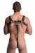 Strict Leather - English Bull Dog Harness w/Cock Strap - Black photo-2