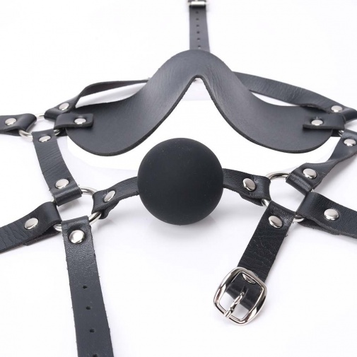 MT - Blindfold with Ball Gag photo