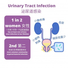 Exacto - Urinary Infections 3 Band - 3 Test/ Box photo