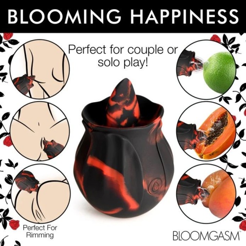 Bloomgasm - Black Kiss Rimming Rose 照片