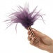 Fifty Shades Freed - Feather Tickler - Purple photo-2