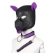 MT - 帶皮帶的面罩 - 紫色/黑色 照片-4