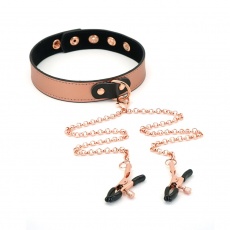 Liebe Seele - Rose Gold Collar w Nipple Clamps photo