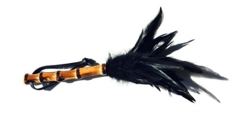 Feather Tickler - Bamboo Handle photo