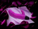 Adrien Lastic - Typhoon 震动棒 - 紫色 照片-9