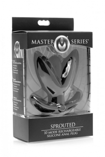 Master Series - 10速震动充电式锚点肛塞 - 黑色 照片