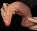Lovetoy - 9.5" Dual Layered King Sized Cock photo-3