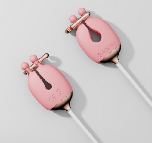 Qingnan - Vibro Nipple Clamps Set #2 - Pink photo