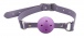 MT - 奴隸訓練束縛套裝 - 紫色 照片-3