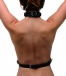 Strict - Female Chest Harness - Black photo-2