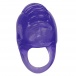 CEN - 手指震動逗弄器 - 紫色 照片-3