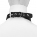 MT - Collar w Leash - Black photo-3