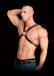 Ouch - Adonis Chest Harness - Black photo-3