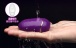 Erocome - 小熊座 - 无线遥控震蛋 - 紫色 照片-23
