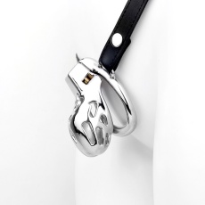 FAAK - Chastity Cage 183 w Belt - Silver photo