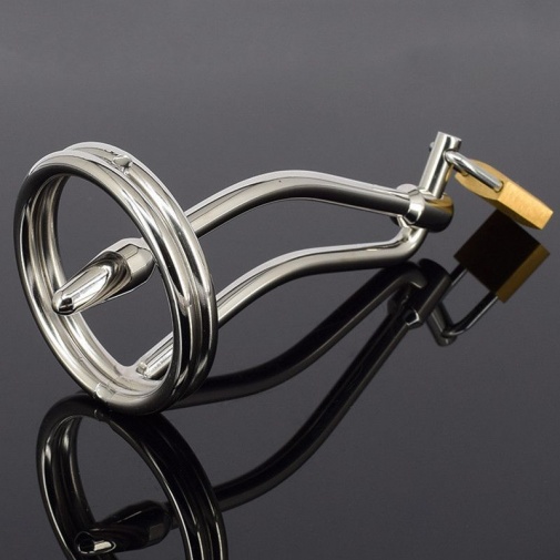 XFBDSM - Male Chastity Device Urethral Sound photo