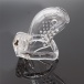 FAAK - Long Bird Chastity Cage - Clear photo-2